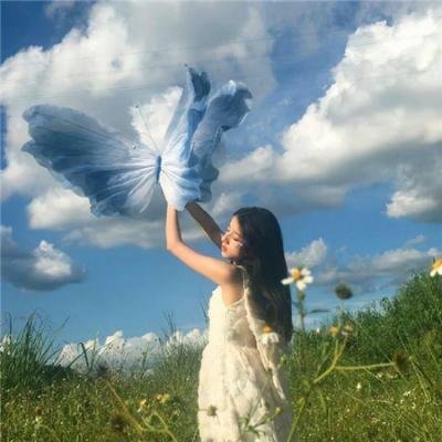 嗜血狂蜂